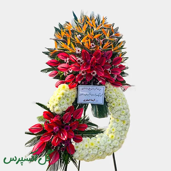 تاج گل اقتصادی افتتاحیه